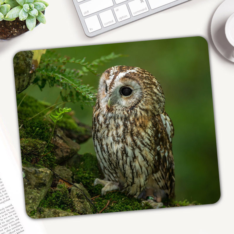 Gaming Accessories On Sale - Cute Animal Owl Gaming Mouse Pad