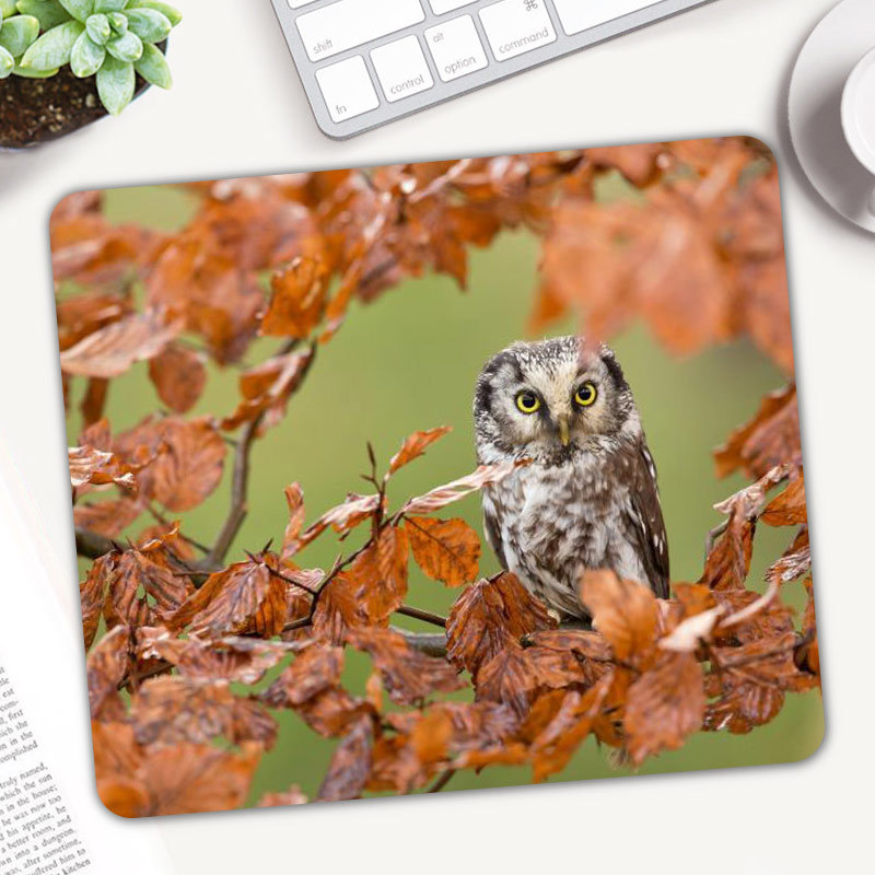Cute Animal Owl Gaming Mouse P - Gaming Accessories On Sale ulasan dan harga