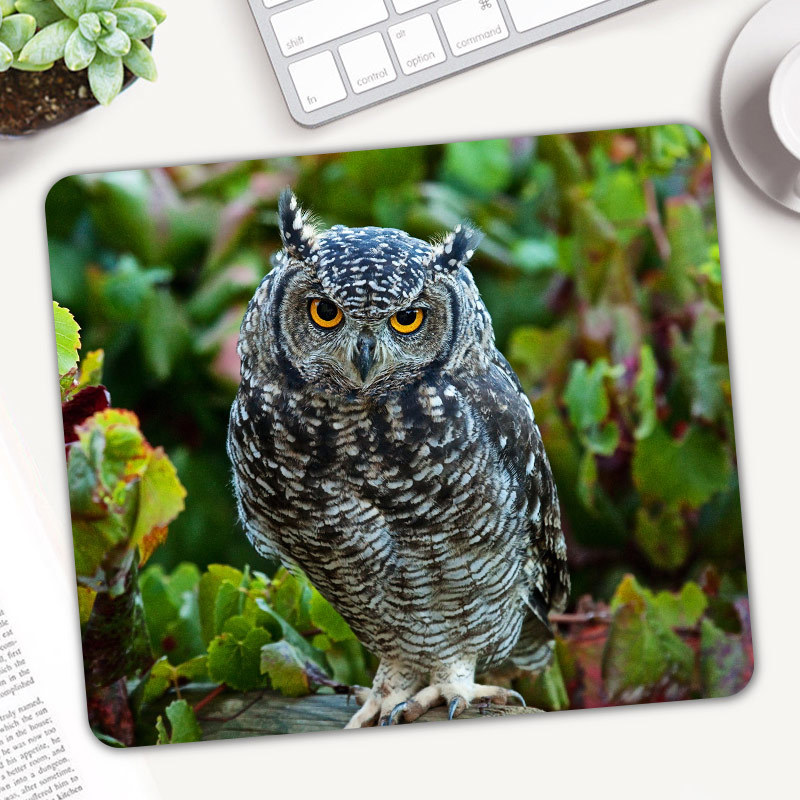 Cute Animal Owl Gaming Mouse P - Gaming Accessories On Sale ulasan dan harga